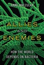 Cover: Allies and Enemies - Addison Wesley