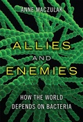 Cover: Allies and Enemies - Addison Wesley