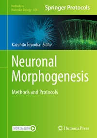 Abbildung von: Neuronal Morphogenesis - Springer