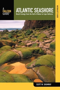 Enlarge image Cover: Naturalist's Guide to the Atlantic Seashore - Falcon Guides