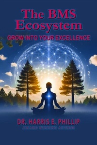 Abbildung von: The BMS Ecosystem - Writer Cosmos