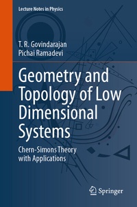 Abbildung von: Geometry and Topology of Low Dimensional Systems - Springer