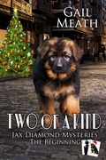 Cover: Two of a Kind - The Beginning (Jax Diamond Mysteries, #4) - Gail Meath