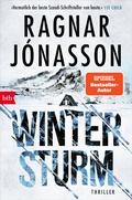 Cover: Wintersturm - btb