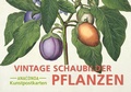 Cover: Postkarten-Set Vintage-Schaubilder Pflanzen - Anaconda Verlag
