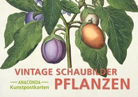 Abbildung von: Postkarten-Set Vintage-Schaubilder Pflanzen - Anaconda Verlag