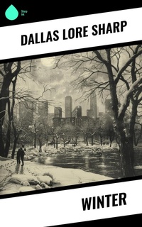 Enlarge image Cover: Winter - Sharp Ink