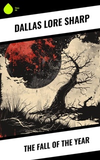Enlarge image Cover: The Fall of the Year - Sharp Ink