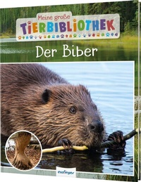 Abbildung von: Meine große Tierbibliothek: Der Biber - Esslinger