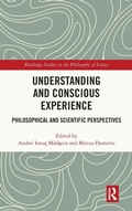 Cover: Understanding and Conscious Experience - Routledge