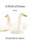 Cover: A Drift of Swans - Kelsay Books