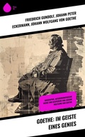 Cover: Goethe: Im Geiste eines Genies - Sharp Ink