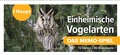 Cover: Einheimische Vogelarten - das Memo-Spiel - Haupt Verlag