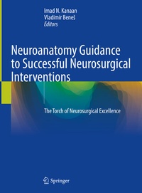 Abbildung von: Neuroanatomy Guidance to Successful Neurosurgical Interventions - Springer