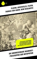 Cover: Die unerreichbare Wahrheit: Philosophie der Metaphysik - Sharp Ink