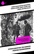 Cover: Entwicklungspfade zum Mannsein - Pr&auml;gende Bildungsromane - Sharp Ink