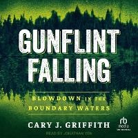 Enlarge image Cover: Gunflint Falling - Tantor Audio