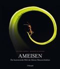 Bild: Ameisen - Haupt Verlag