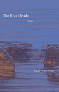 Cover: The Blue Divide - Cornerstone Press