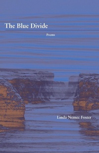 Enlarge image Cover: The Blue Divide - Cornerstone Press