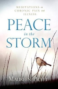 Abbildung von: Peace in the Storm - Galilee Road Publishing LLC