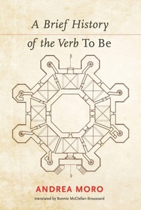 Enlarge image Cover: A Brief History of the Verb To Be - MIT Press