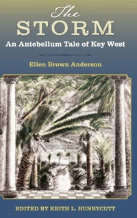 Abbildung von: The Storm - University Press of Florida