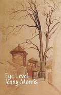 Cover: Eye Level - Cinnamon Press