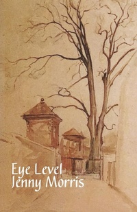 Enlarge image Cover: Eye Level - Cinnamon Press