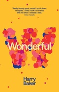 Cover: Wonderful - Burning Eye Books