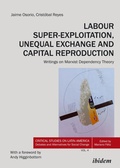 Cover: Labour Super-Exploitation, Unequal Exchange, and Capital Reproduction - ibidem