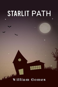 Abbildung von: Starlit Path - William Gomes