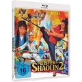 Cover: Meister der Shaolin 2 - TG Vision