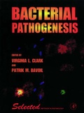 Cover: Bacterial Pathogenesis - Academic Press
