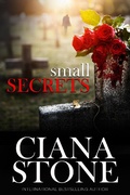 Cover: Small Secrets - Original Syn