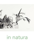 Cover: in natura - edition timpani