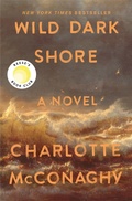 Cover: Wild Dark Shore - Castle Point Books