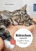 Cover: K&auml;tzchen - Kosmos