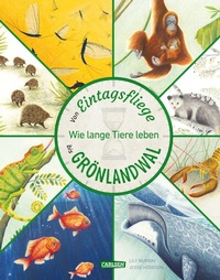 Abbildung von: Von Eintagsfliege bis Grönlandwal - Carlsen