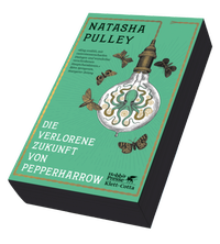 Abbildung von: Die verlorene Zukunft von Pepperharrow - Klett-Cotta