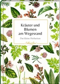Cover: Kr&auml;uter und Blumen am Wegesrand - Coppenrath