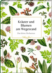 Abbildung von: Kräuter und Blumen am Wegesrand - Coppenrath