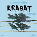 Cover: Krabat - Silberfisch