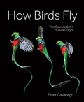 Cover: How Birds Fly - Firefly Books Ltd