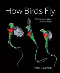 Enlarge image Cover: How Birds Fly - Firefly Books Ltd
