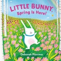 Cover: Little Bunny, Spring Is Here! - Penguin Putnam Inc
