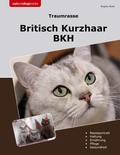 Cover: Traumrasse Britisch Kurzhaar - BoD - Books on Demand