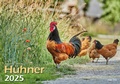 Cover: H&uuml;hner 2025 Bildkalender A3 quer - Judith Kiener & Oliver Giel - klaes-regio Fotoverlag