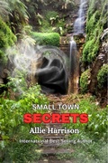 Cover: Small Town Secrets - Allie Harrison