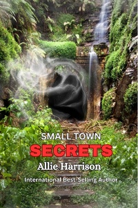 Enlarge image Cover: Small Town Secrets - Allie Harrison